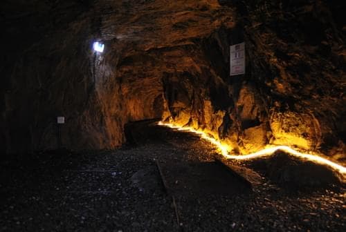 PF37345 - Ferme 5.3 ha, Covilhã - Image 72
