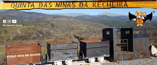 PF37345 - Ferme 5.3 ha, Covilhã - Image 93