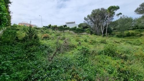 PF36858 - Terreno Urbano 1039 m2, Quinta das Patinhas, Cascais - Imagem 20