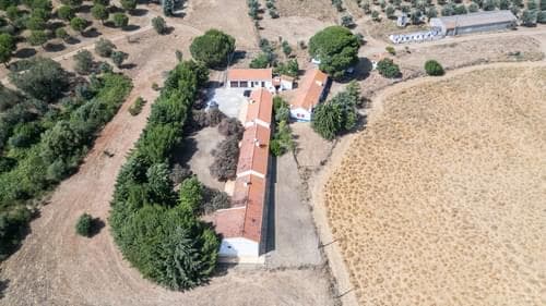 PF35903 - Homestead 4.0 ha, Álcacer do Sal, Alcacer do Sal - Image 32