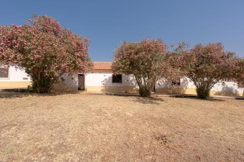 PF35903 - Homestead 4.0 ha, Álcacer do Sal, Alcacer do Sal - Image 28
