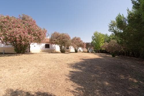 PF35903 - Homestead 4.0 ha, Álcacer do Sal, Alcacer do Sal - Image 29