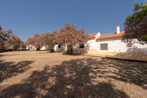 PF35903 - Homestead 4.0 ha, Álcacer do Sal, Alcacer do Sal - Image 30