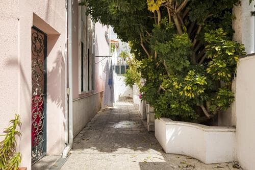PF35964 - Moradia T10 com jardim, Benfica, Lisboa - Imagem 10