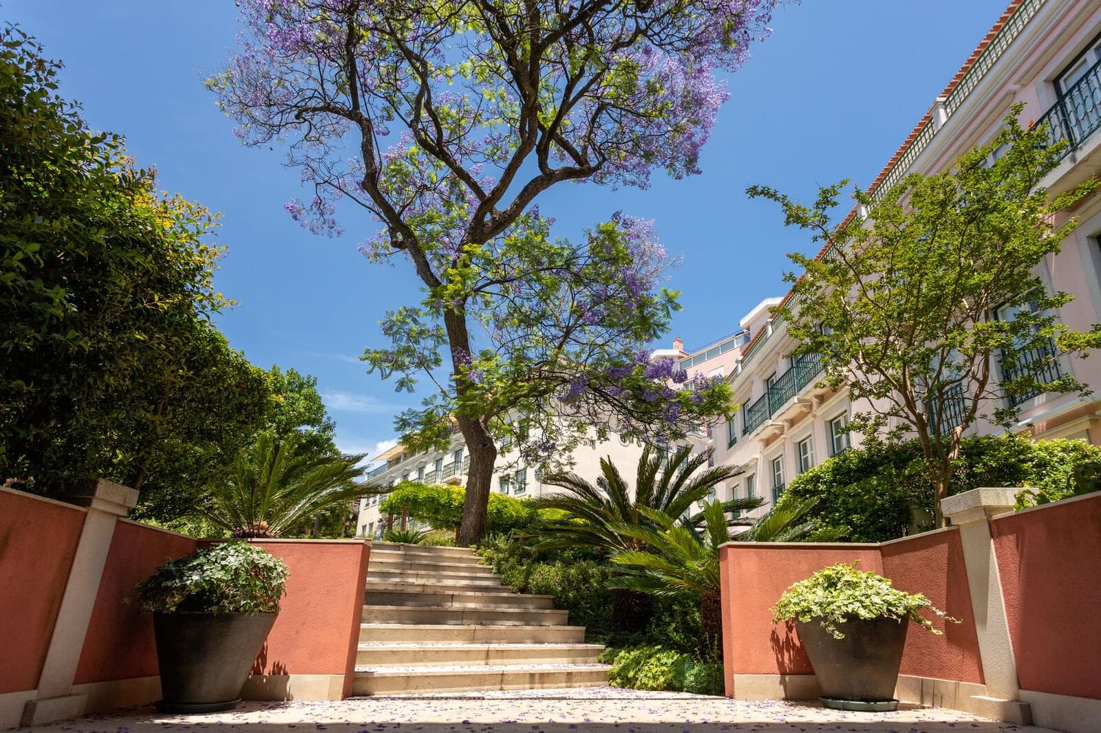 Apartamento T1 com jardim, Estrela, Lisboa - Imagem 1