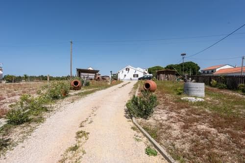 PF36582 - Moradia Isolada T2 com piscina, Melides, Grandola - Imagem 41