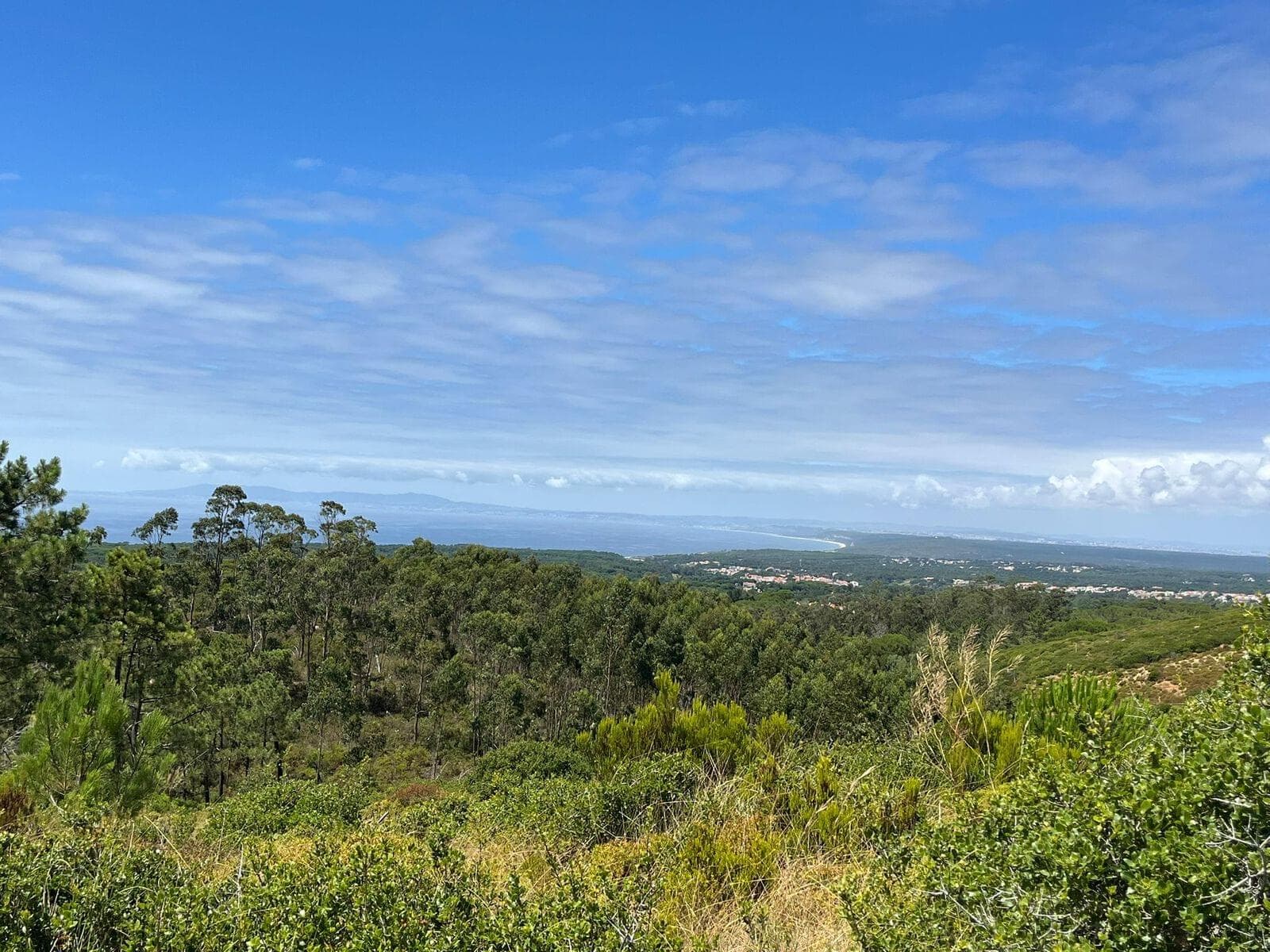 Terreno Misto 1.6 ha, Sesimbra - Imagem 3