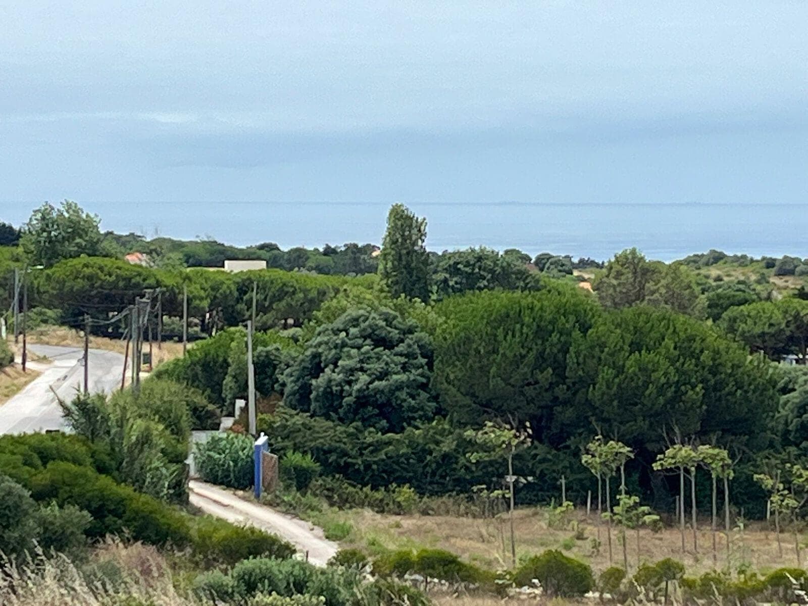 Terreno Misto 1.6 ha, Sesimbra - Imagem 6