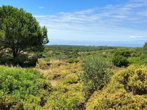 PF37193 - Terrain mixte 1.6 ha, Sesimbra - Image 4