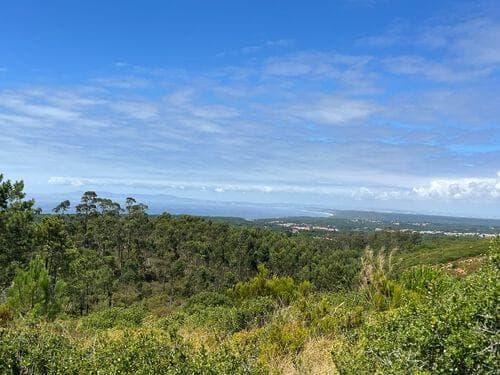 PF37193 - Terrain mixte 1.6 ha, Sesimbra - Image 3