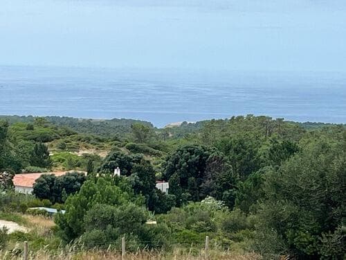 PF37193 - Terrain mixte 1.6 ha, Sesimbra - Image 5