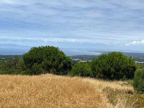 PF37193 - Terrain mixte 1.6 ha, Sesimbra - Image 8