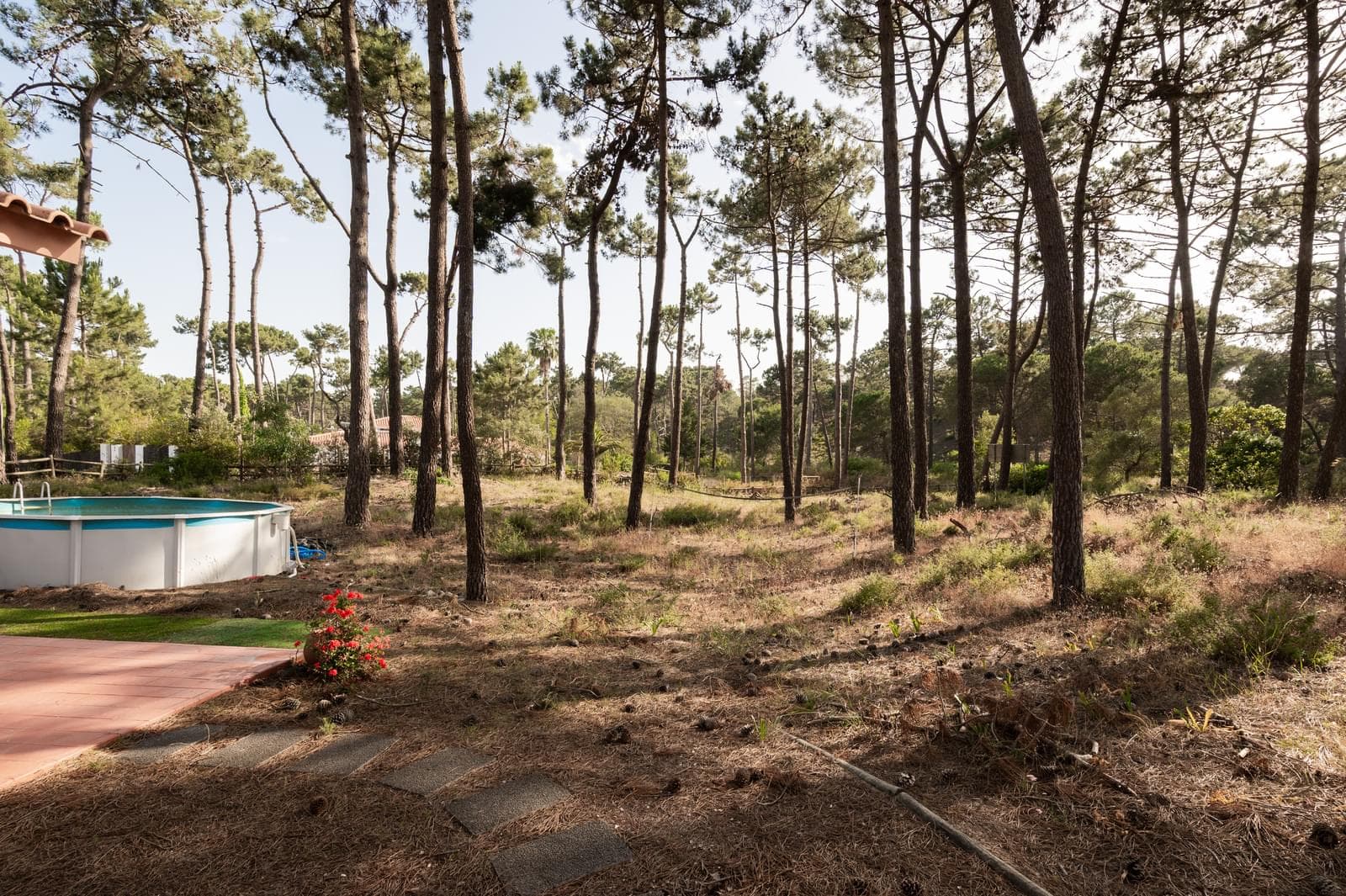 Terreno 2800 m2, Aroeira, Almada - Imagem 11