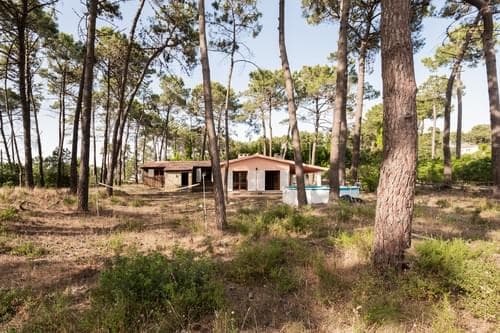 PF37333 - Terrain 2800 m2, Aroeira, Almada - Image 2