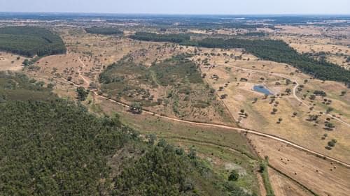 PF37661 - Terrain rustique 10.3 ha, Sonega, Santiago do Cacem - Image 2