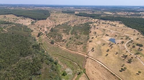 PF37661 - Terrain rustique 10.3 ha, Sonega, Santiago do Cacem - Image 3