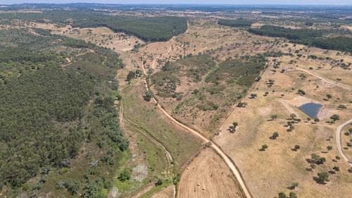 PF37661 - Terrain rustique 10.3 ha, Sonega, Santiago do Cacem - Image 5