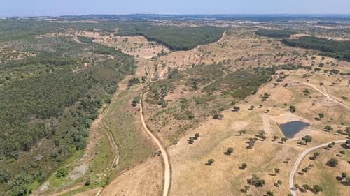 PF37661 - Terrain rustique 10.3 ha, Sonega, Santiago do Cacem - Image 6