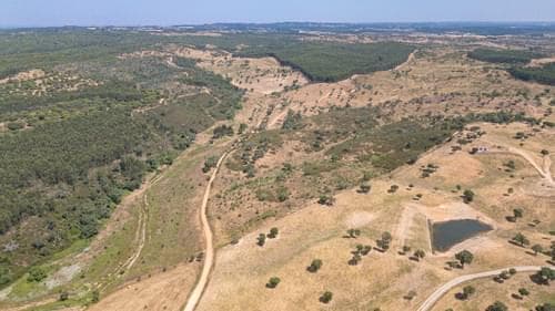 PF37661 - Terrain rustique 10.3 ha, Sonega, Santiago do Cacem - Image 7
