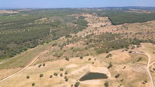 PF37661 - Terrain rustique 10.3 ha, Sonega, Santiago do Cacem - Image 9