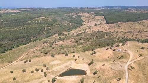 PF37661 - Terrain rustique 10.3 ha, Sonega, Santiago do Cacem - Image 10
