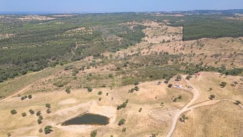 PF37661 - Terrain rustique 10.3 ha, Sonega, Santiago do Cacem - Image 11
