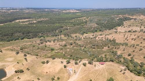 PF37661 - Terrain rustique 10.3 ha, Sonega, Santiago do Cacem - Image 13