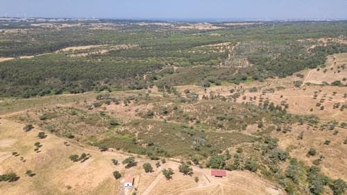 PF37661 - Terrain rustique 10.3 ha, Sonega, Santiago do Cacem - Image 14