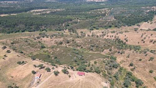 PF37661 - Terrain rustique 10.3 ha, Sonega, Santiago do Cacem - Image 15