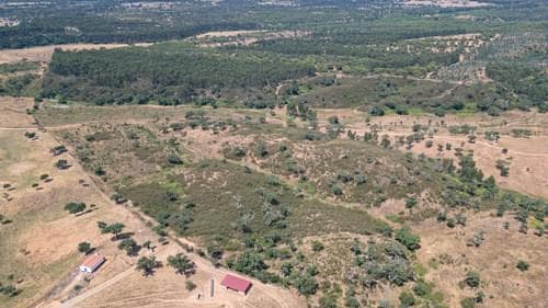 PF37661 - Terrain rustique 10.3 ha, Sonega, Santiago do Cacem - Image 16