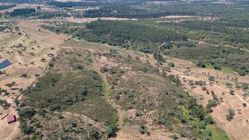 PF37661 - Terrain rustique 10.3 ha, Sonega, Santiago do Cacem - Image 18
