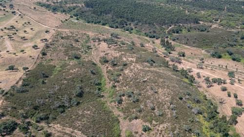 PF37661 - Terrain rustique 10.3 ha, Sonega, Santiago do Cacem - Image 19