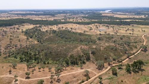 PF37661 - Terrain rustique 10.3 ha, Sonega, Santiago do Cacem - Image 20