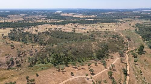 PF37661 - Terrain rustique 10.3 ha, Sonega, Santiago do Cacem - Image 21