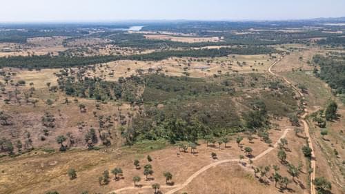 PF37661 - Terrain rustique 10.3 ha, Sonega, Santiago do Cacem - Image 22