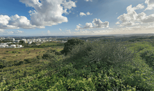 PF37817 - Terrain 8.3 ha, Oeiras - Image 2