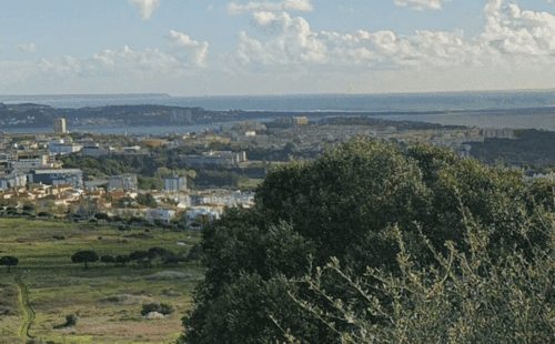 PF37817 - Terrain 8.3 ha, Oeiras - Image 4