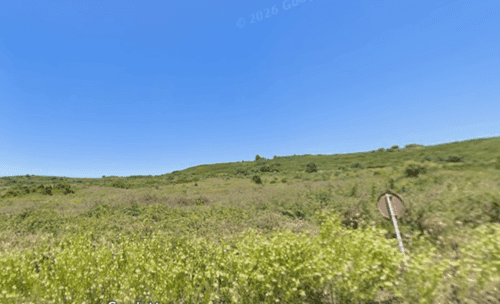 PF37817 - Terrain 8.3 ha, Oeiras - Image 5