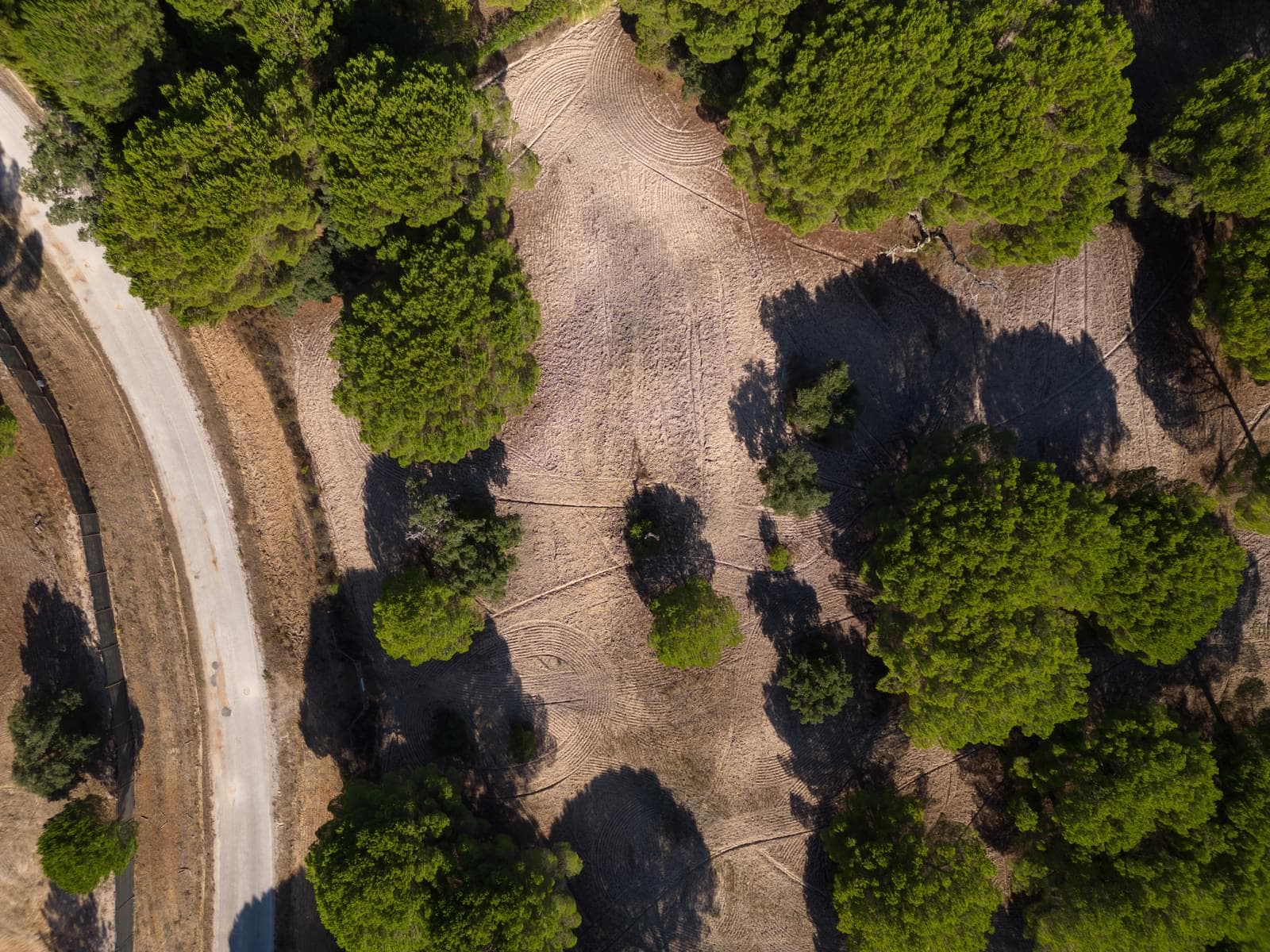 Terreno 2.6 ha, Santo Estevão, Benavente - Imagem 11