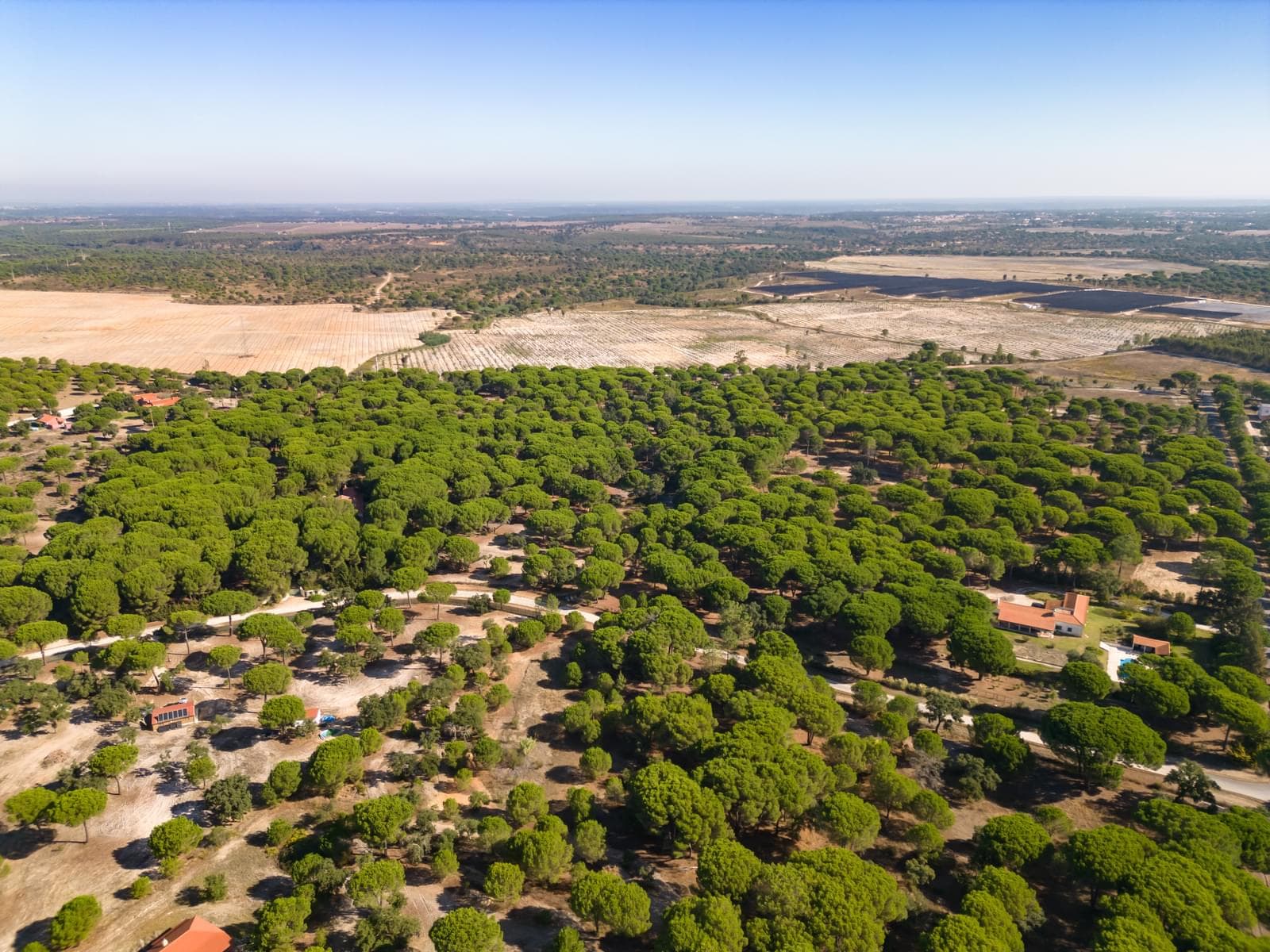 Terreno 2.6 ha, Santo Estevão, Benavente - Imagem 19