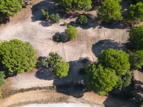 PF37980 - Terrain 2.6 ha, Santo Estevão, Benavente - Image 9