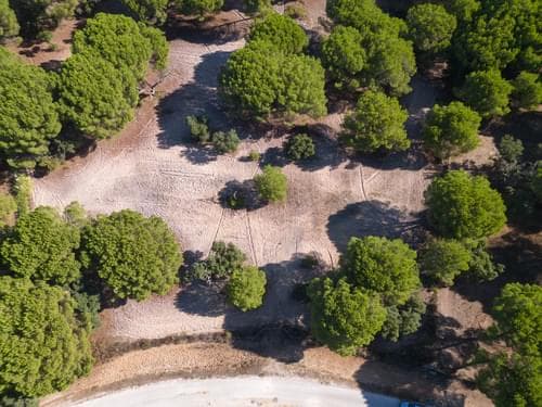 PF37980 - Terrain 2.6 ha, Santo Estevão, Benavente - Image 10