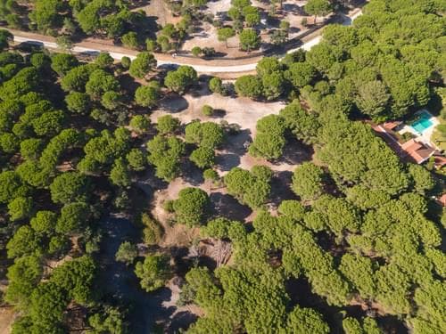PF37980 - Terrain 2.6 ha, Santo Estevão, Benavente - Image 1