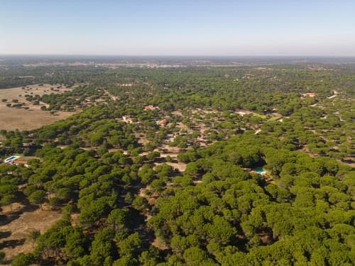 PF37980 - Terrain 2.6 ha, Santo Estevão, Benavente - Image 3