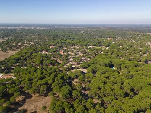 PF37980 - Terrain 2.6 ha, Santo Estevão, Benavente - Image 4