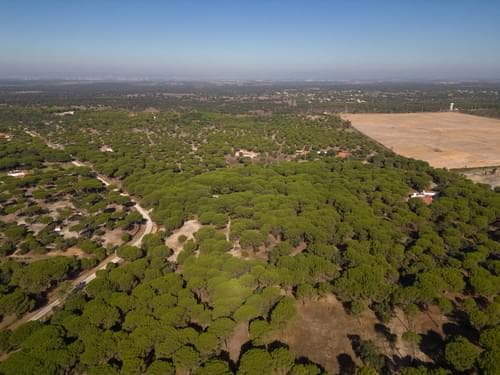 PF37980 - Terrain 2.6 ha, Santo Estevão, Benavente - Image 17