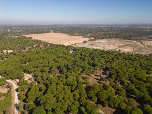 PF37980 - Terrain 2.6 ha, Santo Estevão, Benavente - Image 20