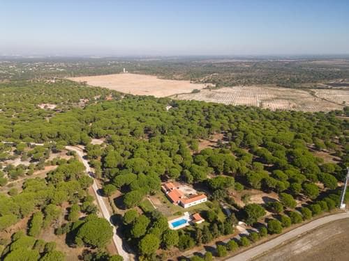 PF37980 - Terrain 2.6 ha, Santo Estevão, Benavente - Image 18