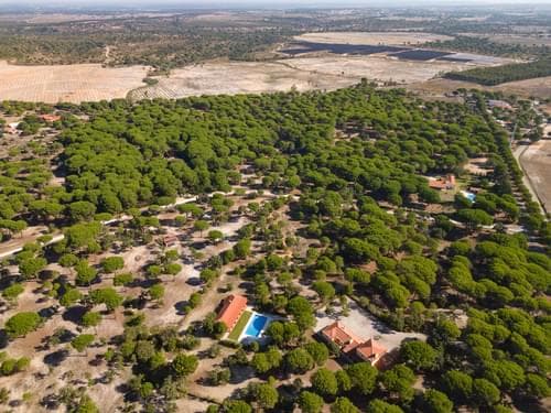 PF37980 - Terrain 2.6 ha, Santo Estevão, Benavente - Image 16