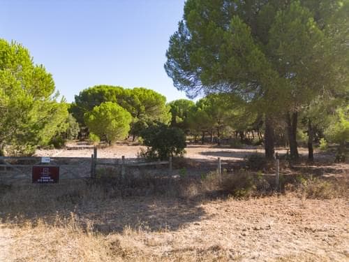 PF37980 - Terrain 2.6 ha, Santo Estevão, Benavente - Image 14